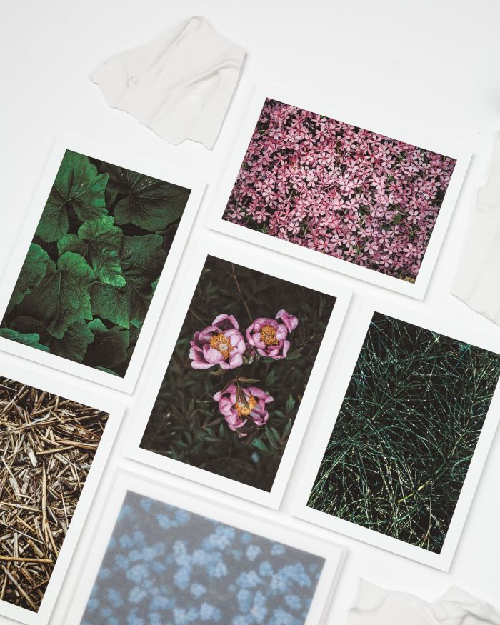fotografijos atvirukų rinkinys su augalais
