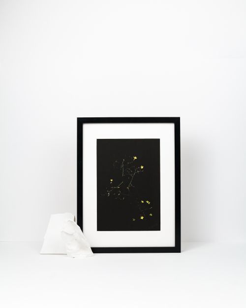 fotografijos plakatas namu dekorui smulkios gėlės