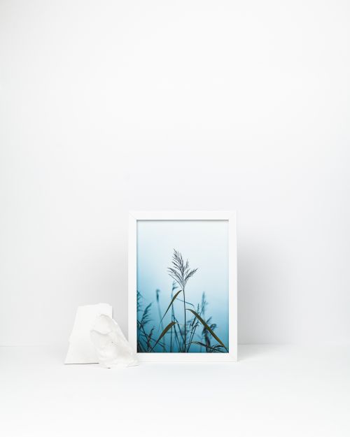 fotografijos plakatas namu dekorui - smilga