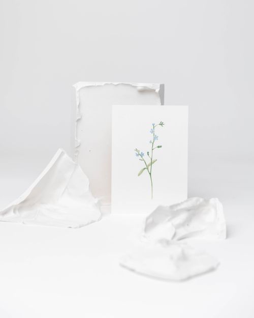 gimtadienio atvirukai - atvirukų rinkinys sveikinimai linkėjimai