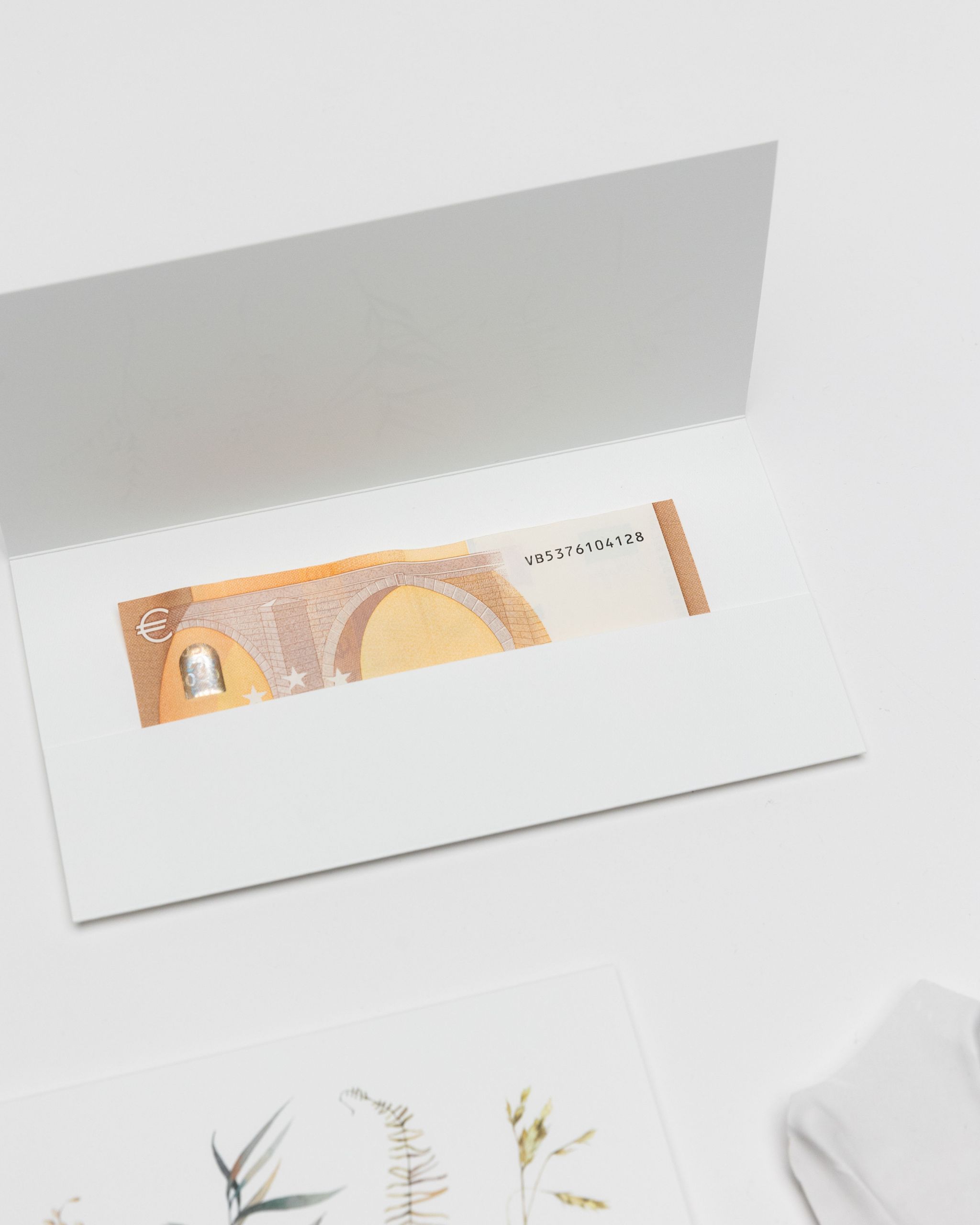 vokai pinigams dovanoti