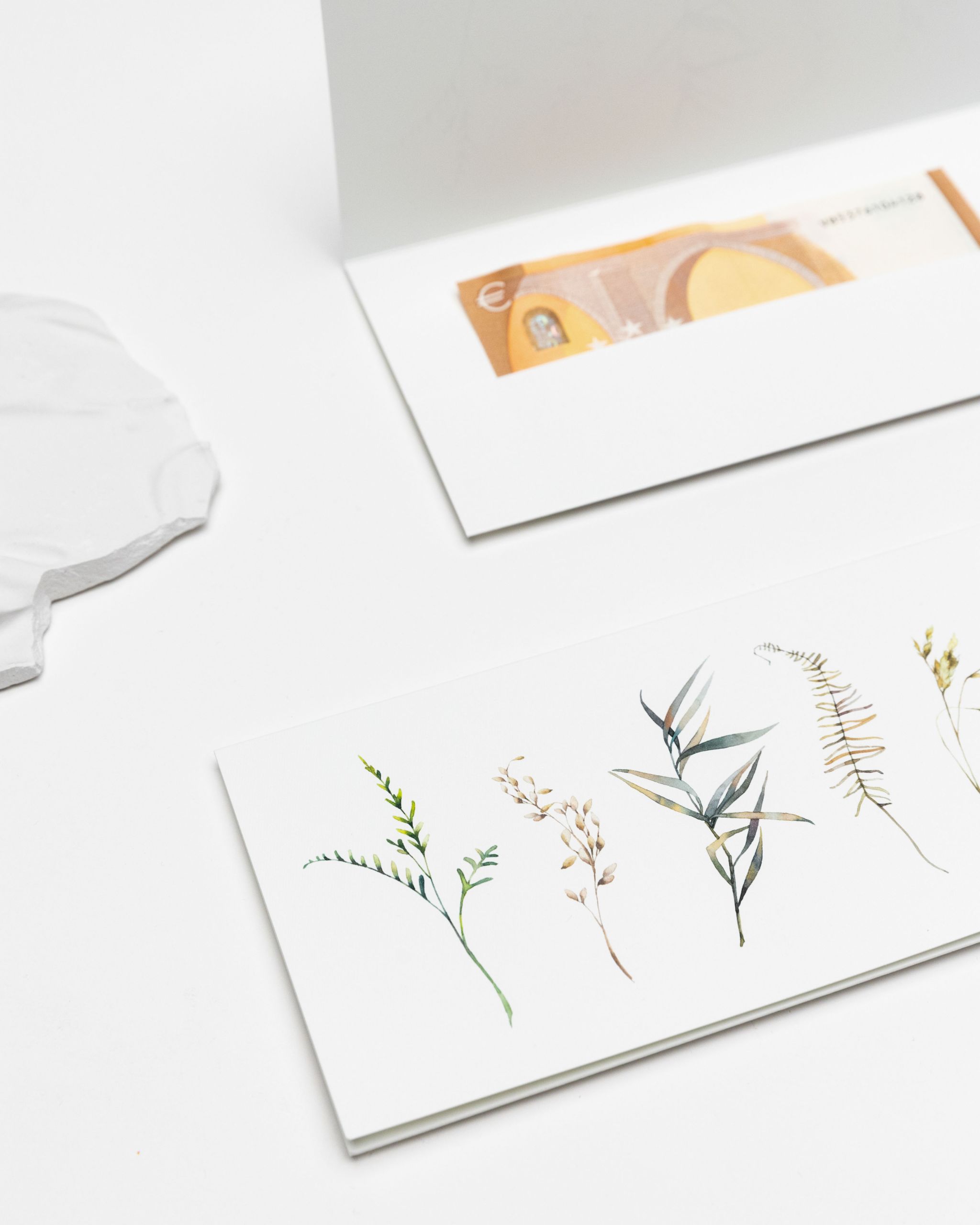 vokai pinigams dovanoti