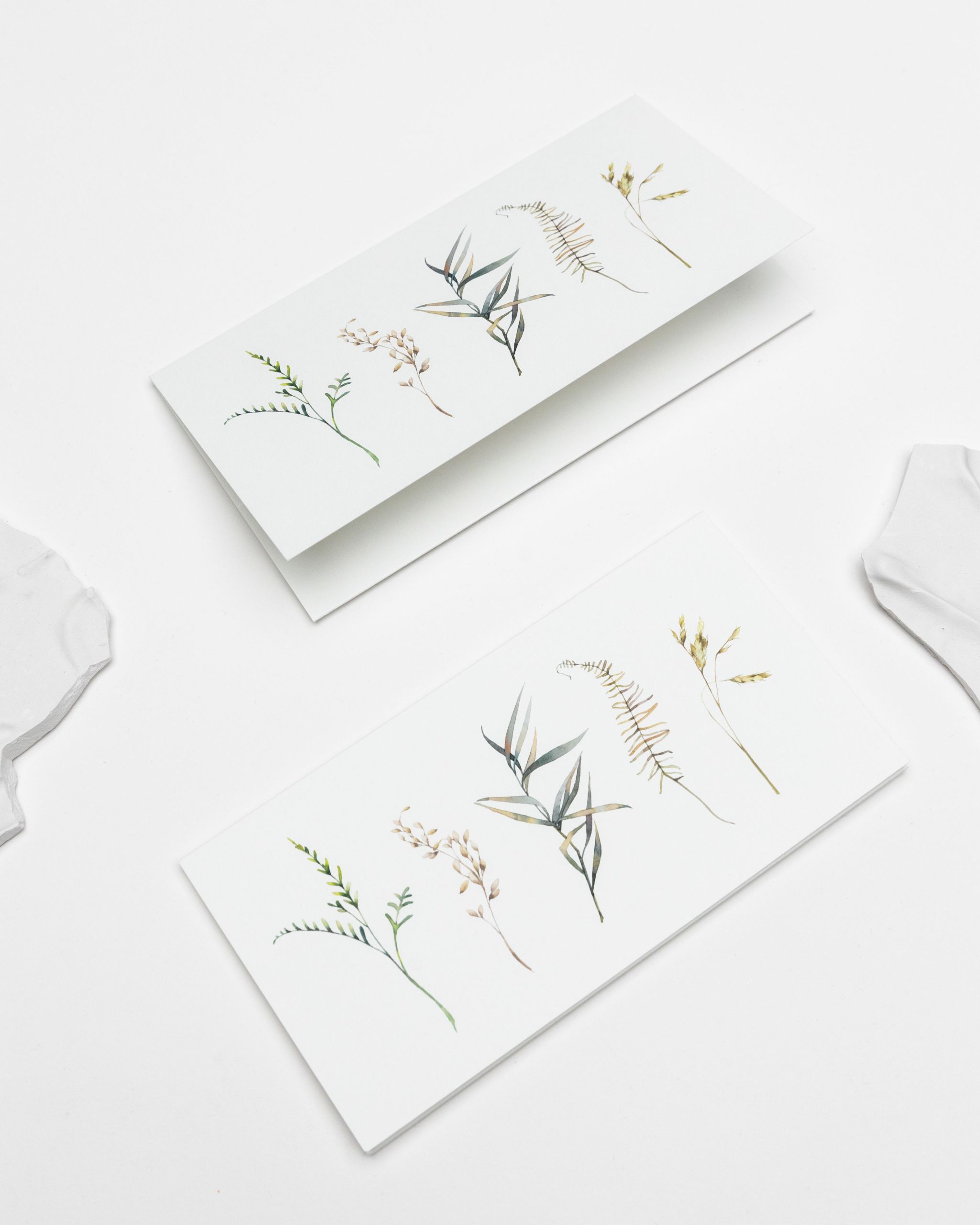 vokai pinigams dovanoti