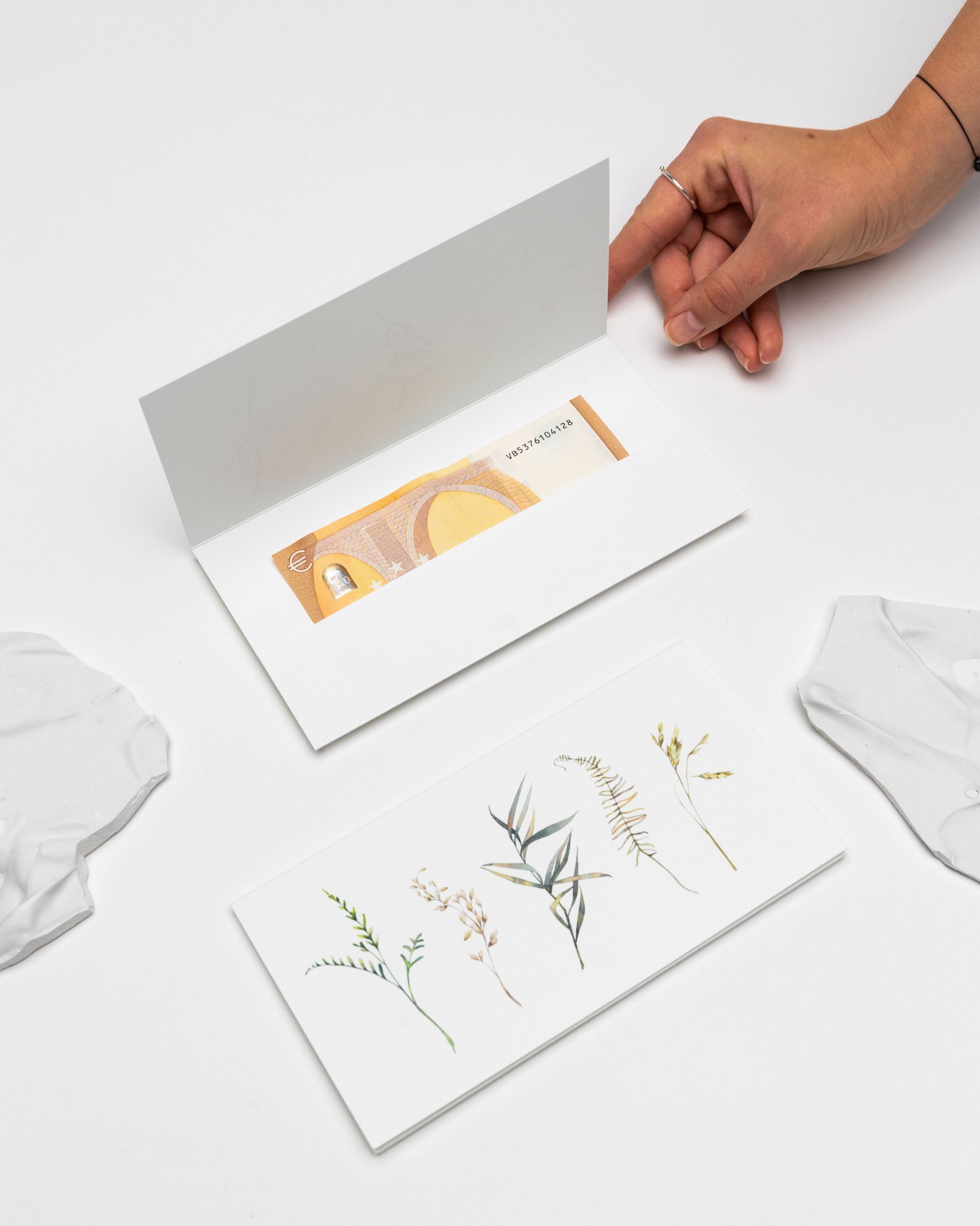 vokai pinigams dovanoti