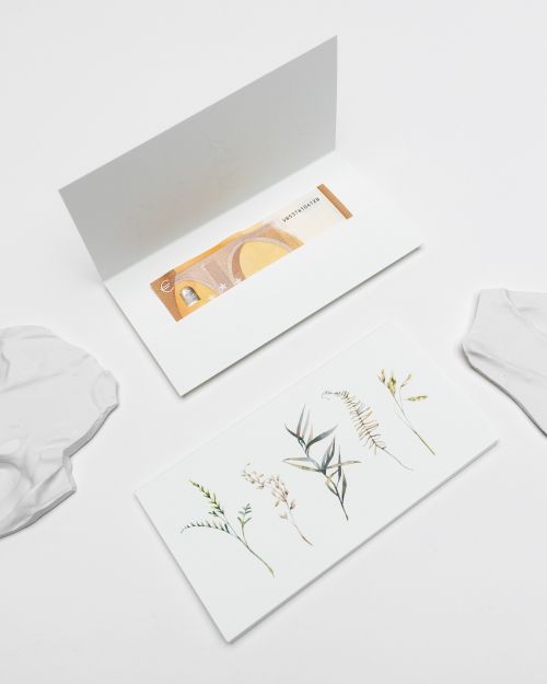 vokai pinigams dovanoti