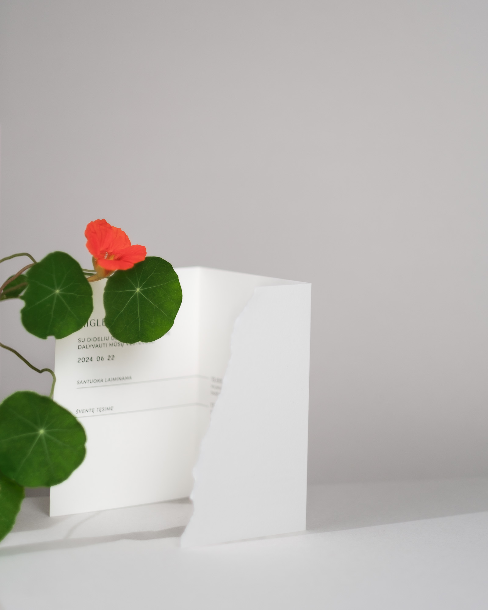 vestuvių kvietimai su gėlėmis