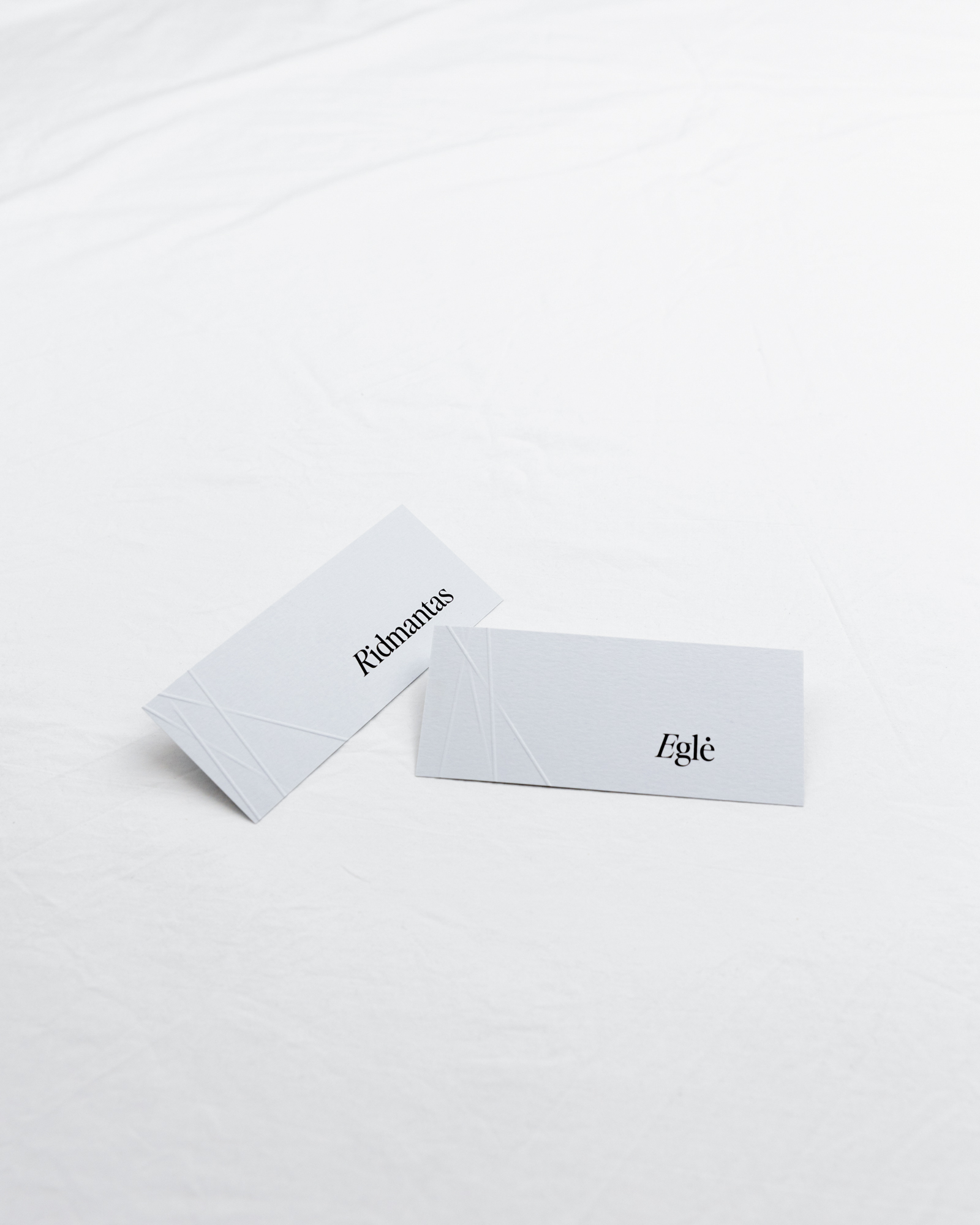 elegantiška,moderni klasika, kanceliarija, šventės dienos spauda